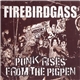 Firebirdgass - Punk Rises From The Pigpen